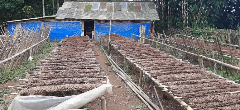 Aktivitas petani di ladang Desa Dalisodo