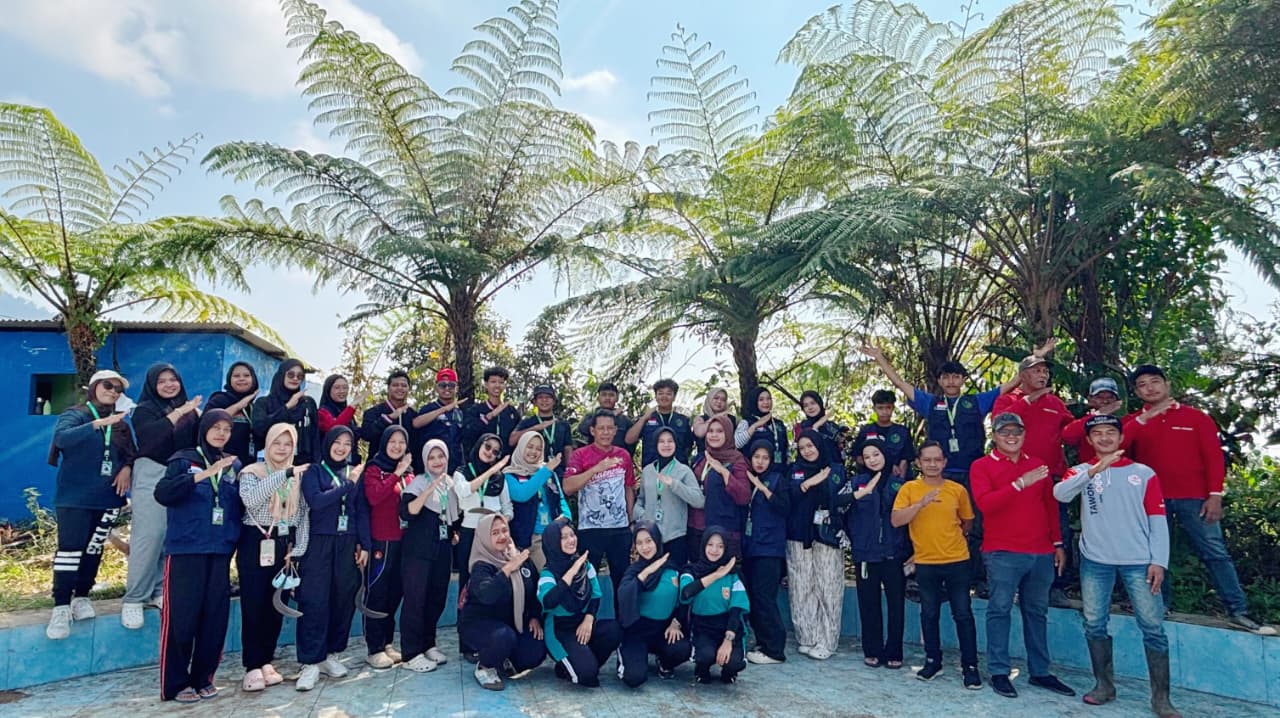 Bersih-Bersih Everland